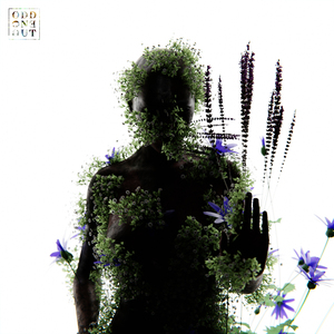 大胸XXXXXX成人小说
