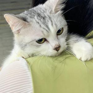 大胸XXXXXX成人小说
