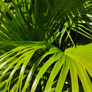 大胸XXXXXX成人小说
