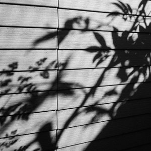 大胸XXXXXX成人小说
